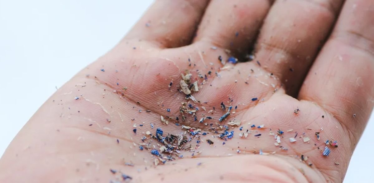 Bahaya Mikroplastik pada Makanan: Penelitian Baru Ungkap Dampaknya